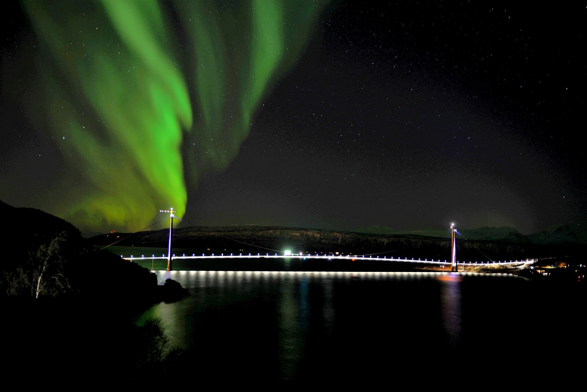 欧洲桥，四川造！挪威首相官宣哈罗格兰德大桥通车！