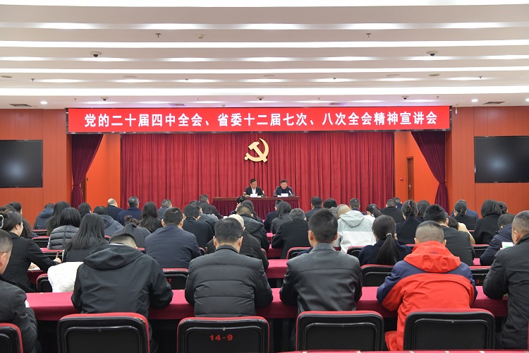路桥集团召开学习贯彻党的二十届四中全会精神和省委十二届七次、八次全会精神宣讲会